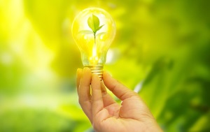 Энергосбережение и повышение энергетической эффективности в организациях и учреждениях