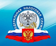 ФНС России запустила сервис для выплаты субсидий на профилактику COVID-19